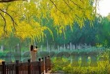 av无码免费麻豆影院-免费观赏，释放影音艺术的多元化魅力