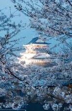 果冻传媒 小小影视-探索果冻传媒与小小影视，数字时代的娱乐新生态