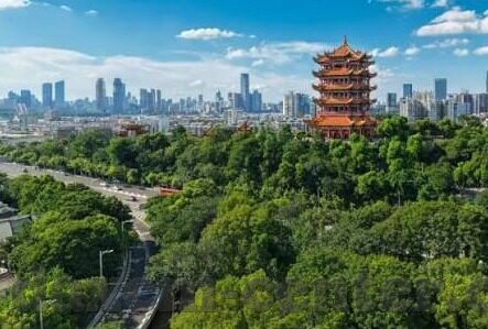 为什么下载不了糖心app-疑惑解读，为何难以下载糖心应用